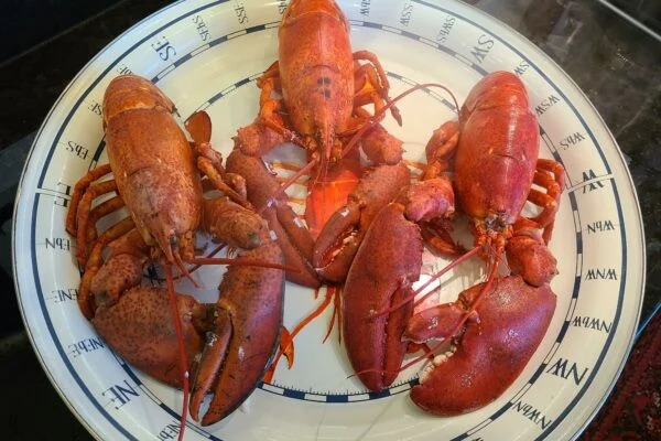 New England Lobster - The Fisherman's Kitchen
